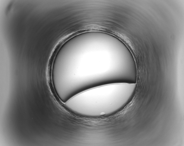 X0000096420987200801241000