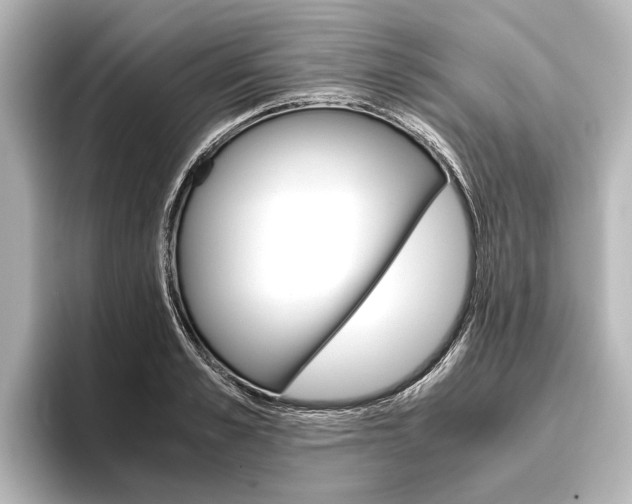 X0000096420989200801241000