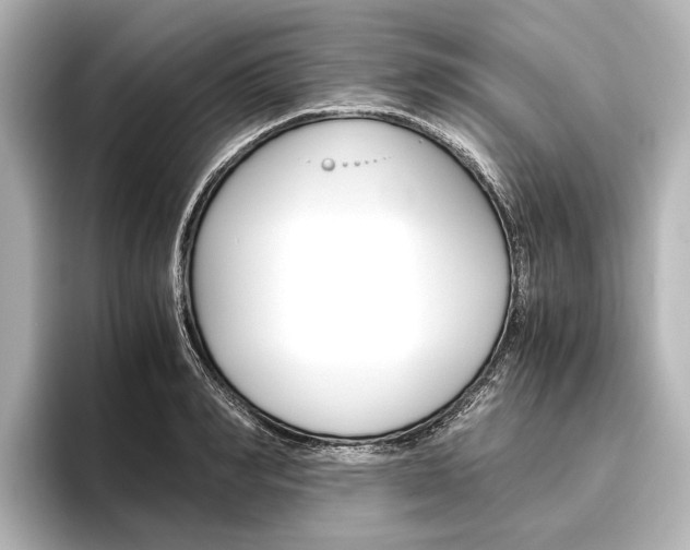 X0000096420990200801241000