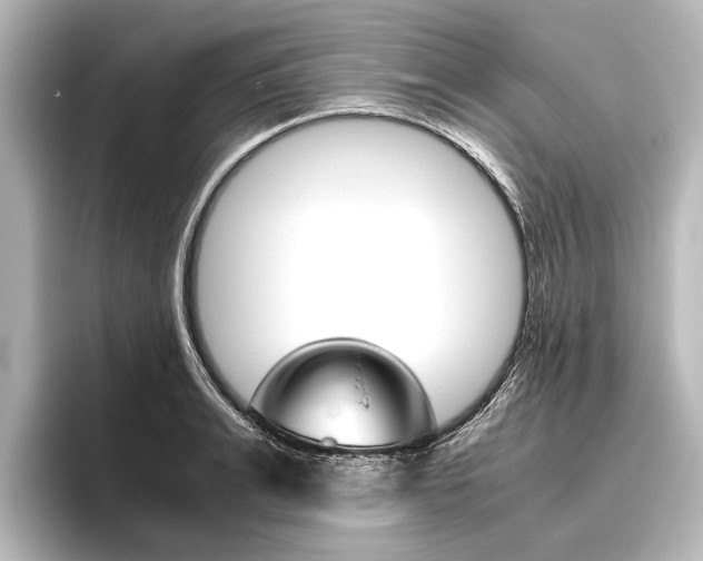 X0000096420991200801241000