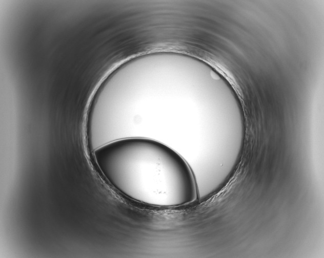 X0000096420992200801241000