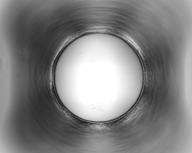 X0000096420994200801241000