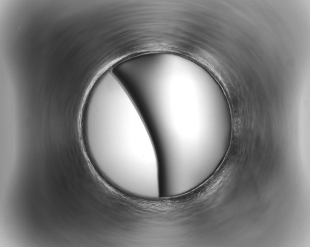 X0000096420995200801241000