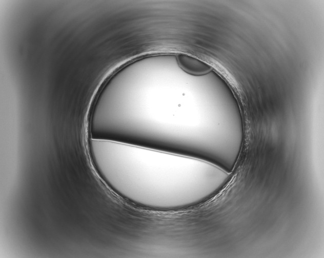 X0000096420996200801241000