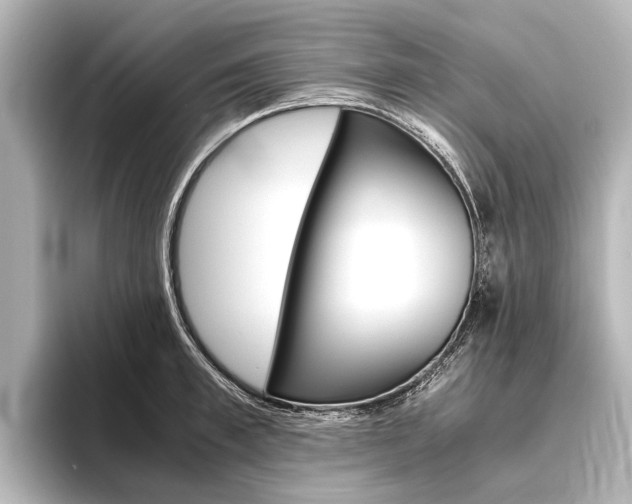 X0000096420997200801241000
