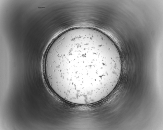 X0000096420998200801241000