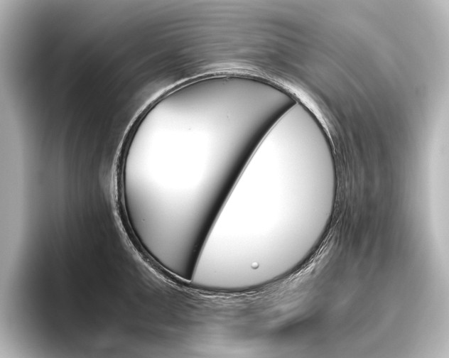 X0000096420999200801241000