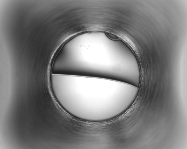 X0000096421000200801241000