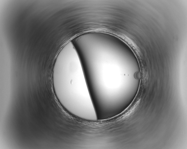 X0000096421001200801241000