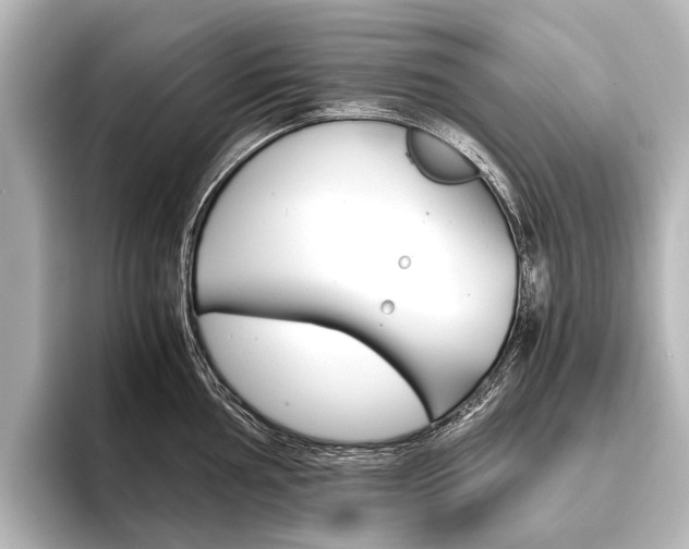 X0000096421002200801241000