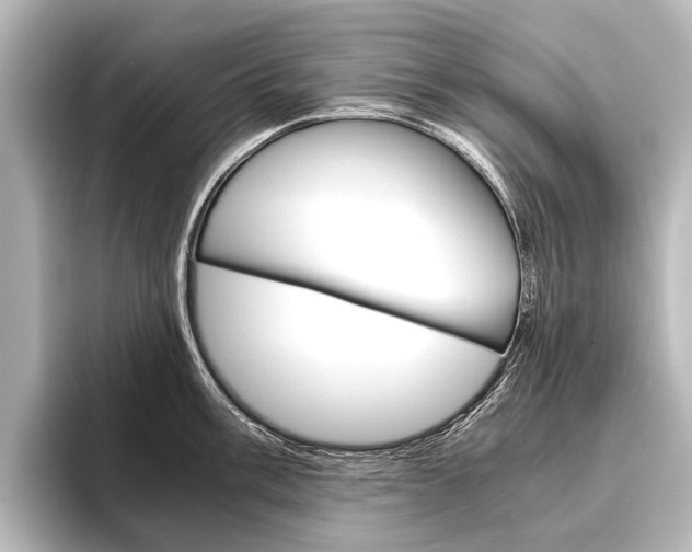 X0000096421003200801241000