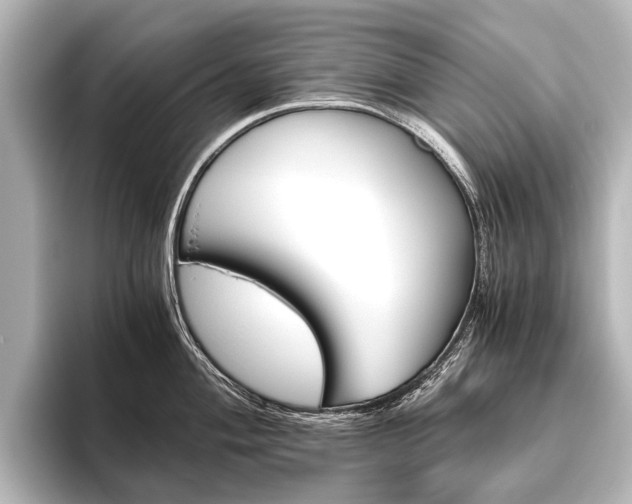 X0000096421004200801241000