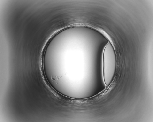 X0000096421005200801241000