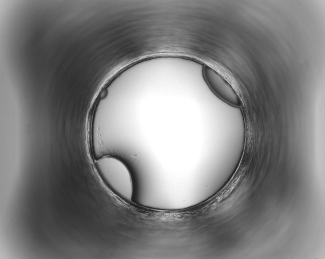X0000096421006200801241000