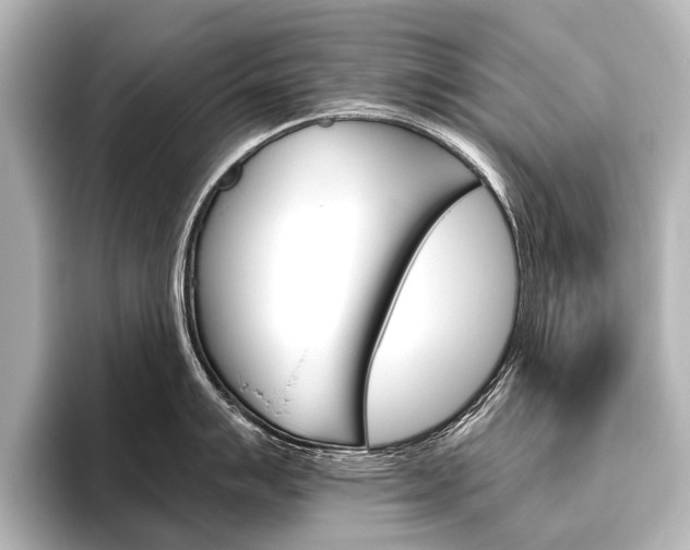 X0000096421007200801241000