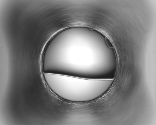 X0000096421008200801241000