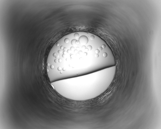 X0000096421011200801240959