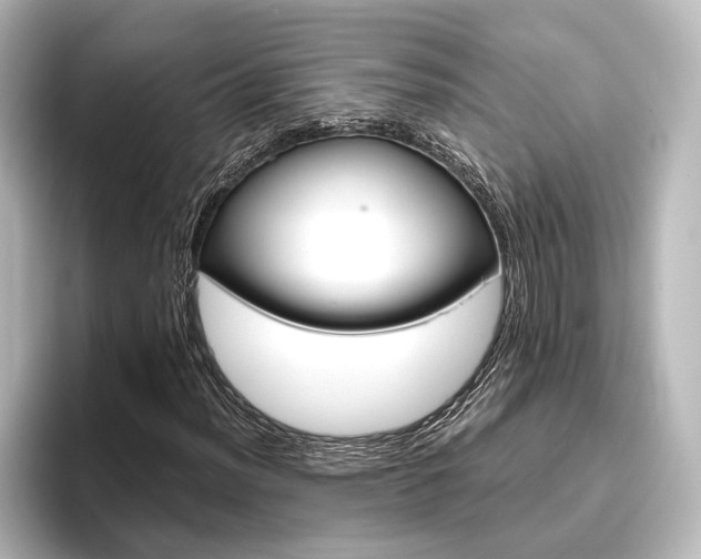 X0000096421012200801240959