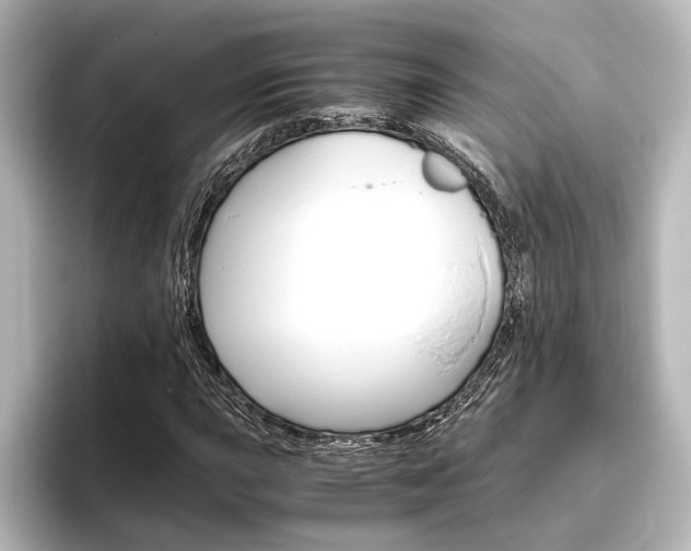 X0000096421015200801240959