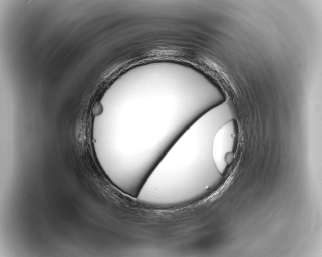 X0000096421017200801240959