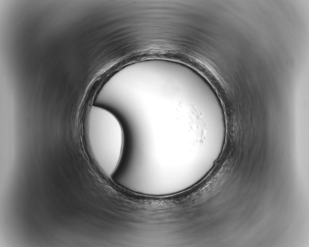X0000096421018200801240959