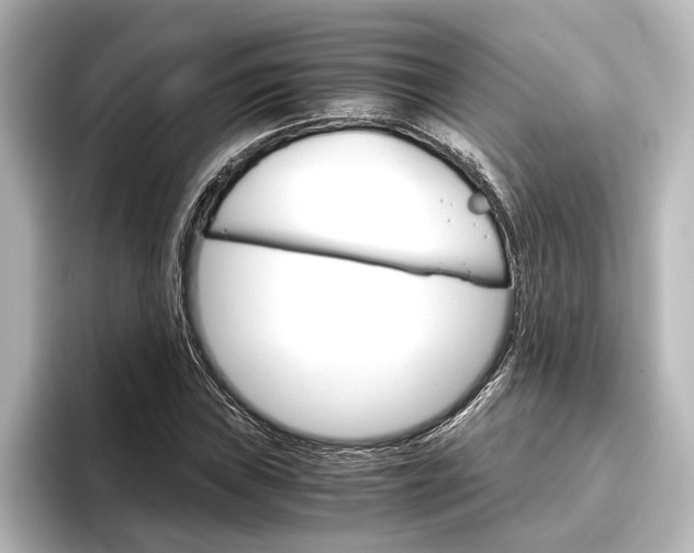 X0000096421019200801240959