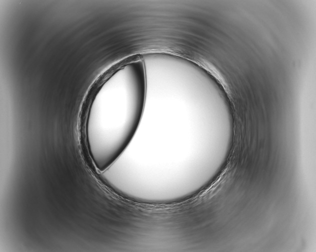 X0000096421020200801240959