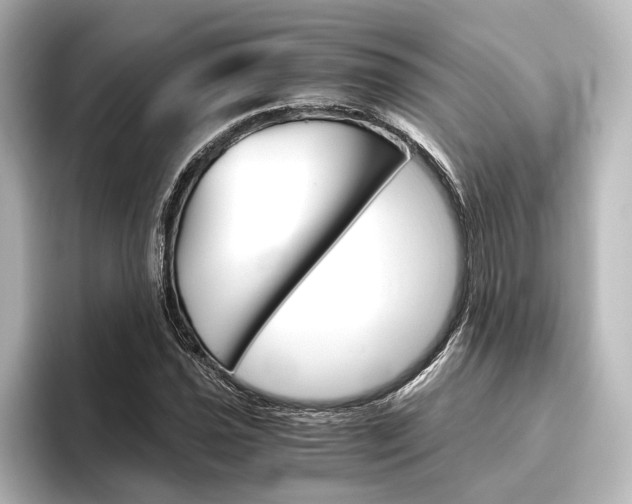 X0000096421021200801240959