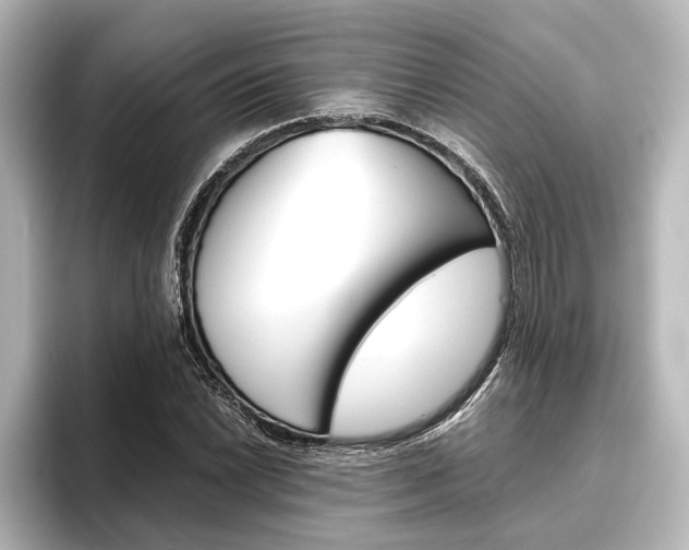 X0000096421022200801240959