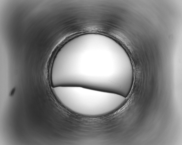 X0000096421023200801240959
