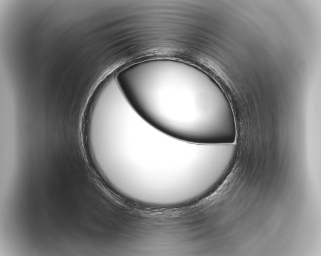 X0000096421026200801240959