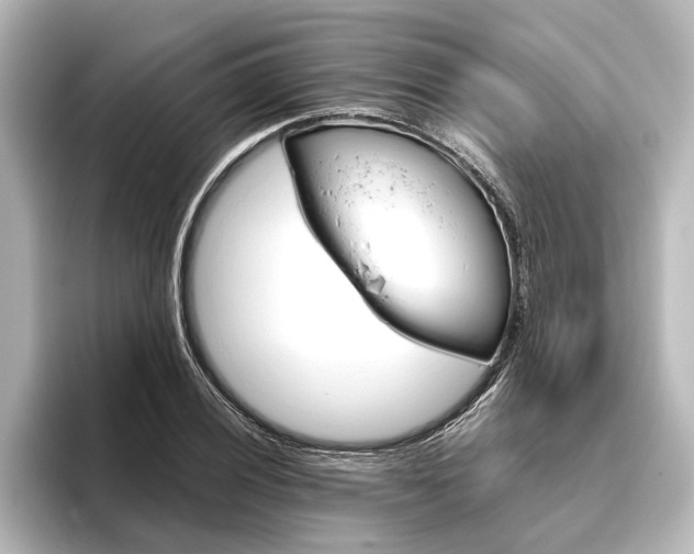 X0000096421028200801240959
