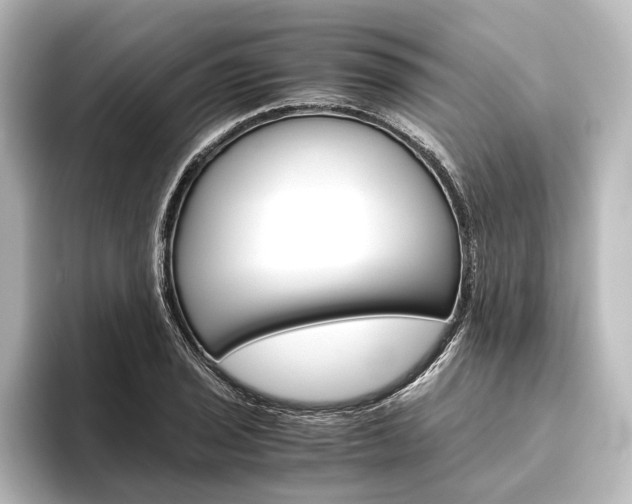 X0000096421029200801240959