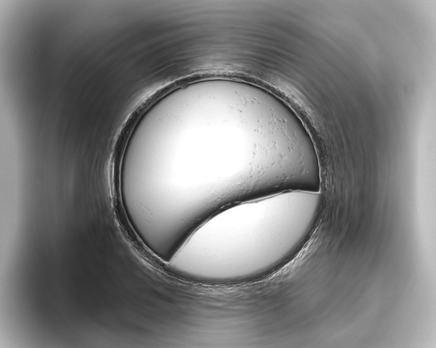 X0000096421030200801240959