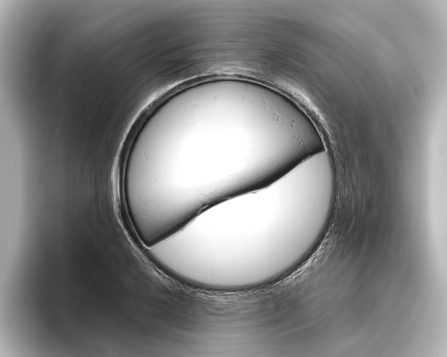 X0000096421032200801240959