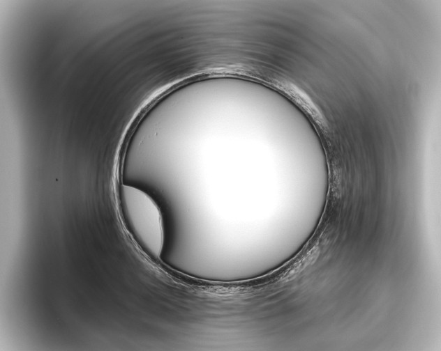 X0000096421036200801240959