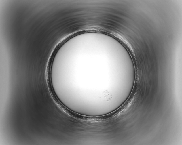 X0000096421037200801240959