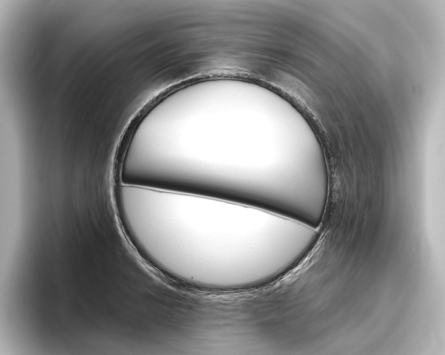 X0000096421038200801240959