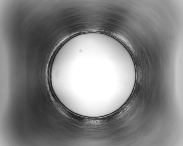 X0000096421039200801240959