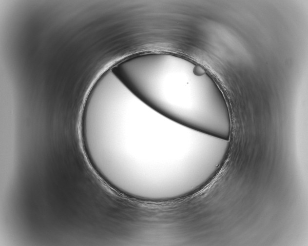 X0000096421040200801240959