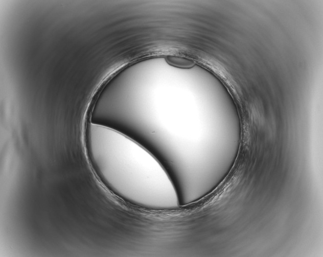 X0000096421042200801240959