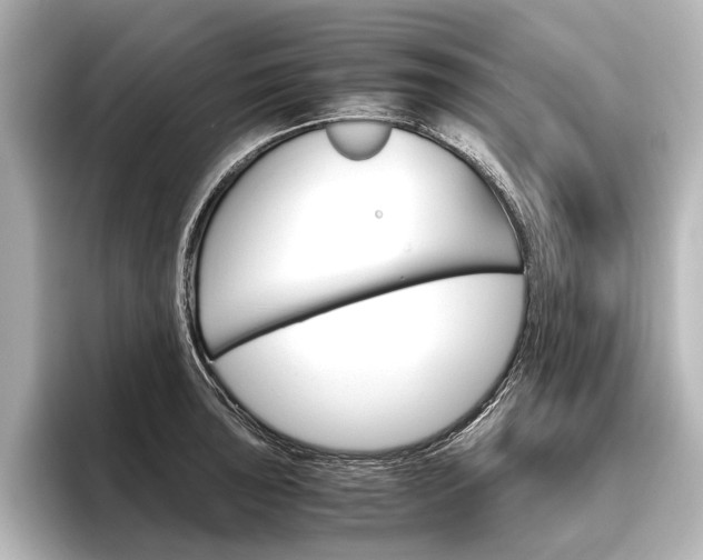 X0000096421043200801240959