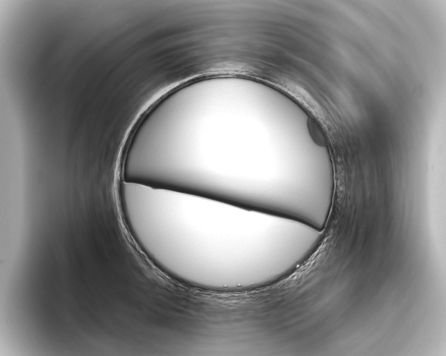 X0000096421044200801240959