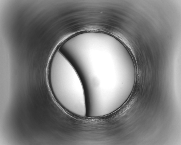 X0000096421045200801240959