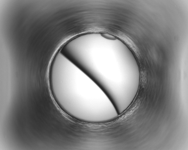 X0000096421046200801240959