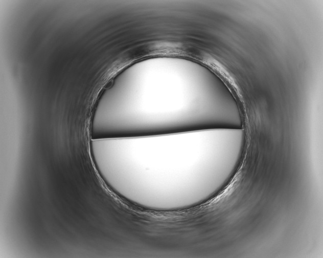 X0000096421049200801240959
