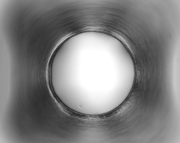 X0000096421050200801240959