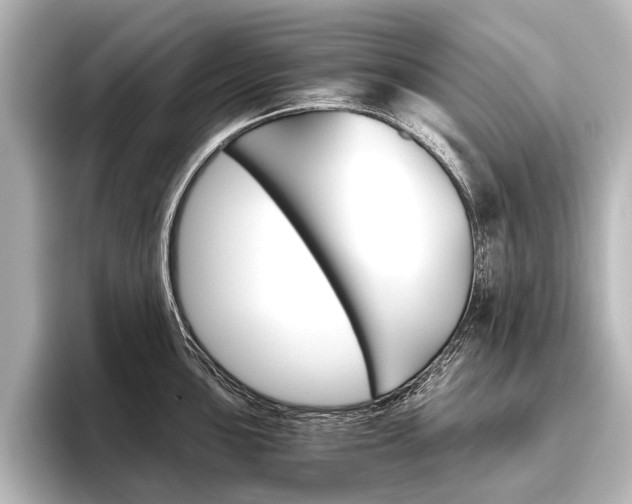 X0000096421051200801240959