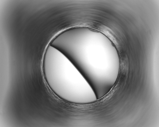X0000096421052200801240959