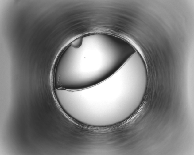 X0000096421053200801240959